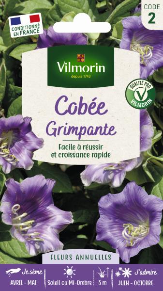 Fleurs - Cobée Grimpante - PACKAGING_RECTO